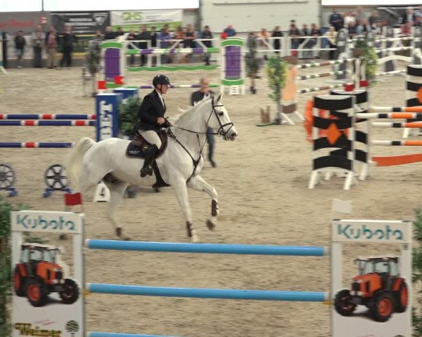 Reitturnier Borken 2022