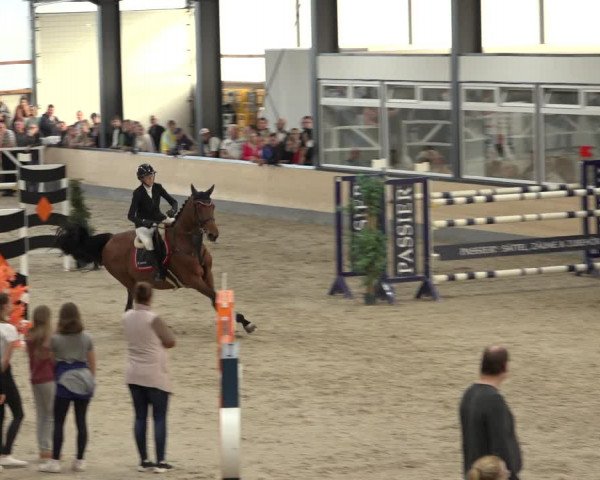 Reitturnier Borken 2022