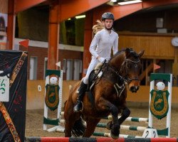 jumper Percy 283 (Friesian-Mix, 2010)