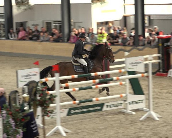 Reitturnier Borken 2022