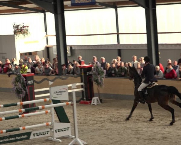 Reitturnier Borken 2022
