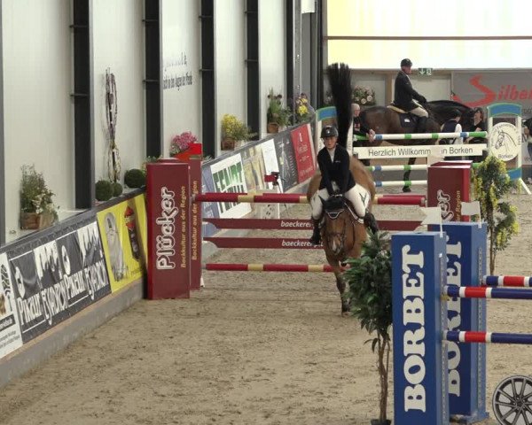 Reitturnier Borken 2022