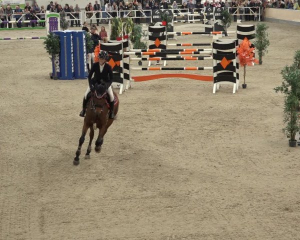 Reitturnier Borken 2022