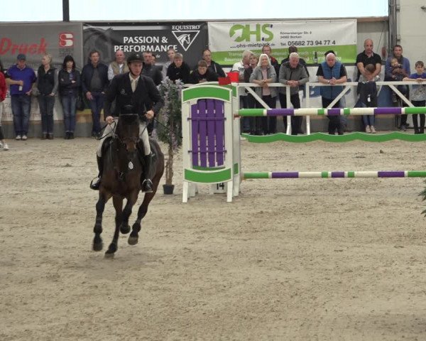 Reitturnier Borken 2022