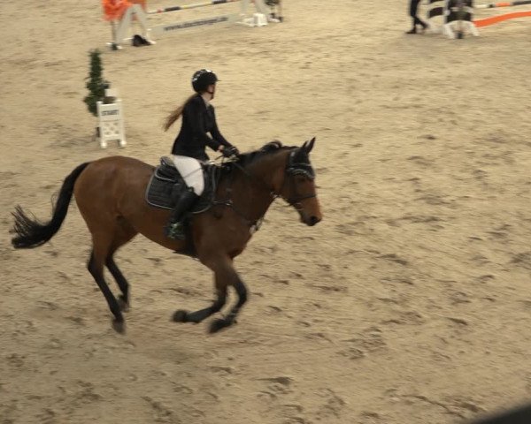 Reitturnier Borken 2022