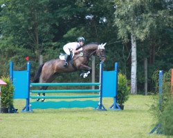 Springpferd Casper 147 (Holsteiner, 1999, von Coriano)