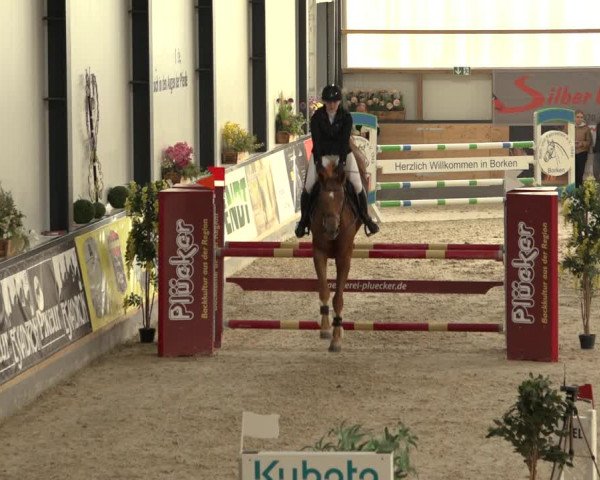 Reitturnier Borken 2022