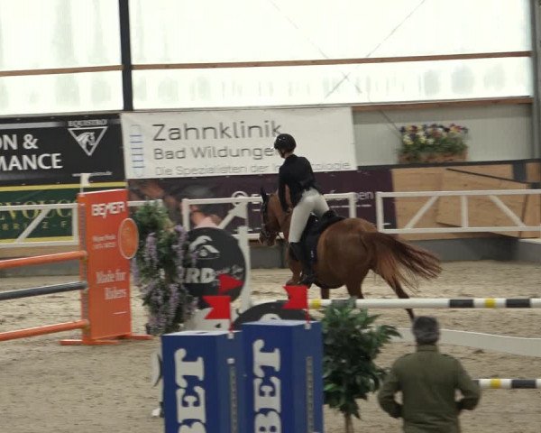 Reitturnier Borken 2022