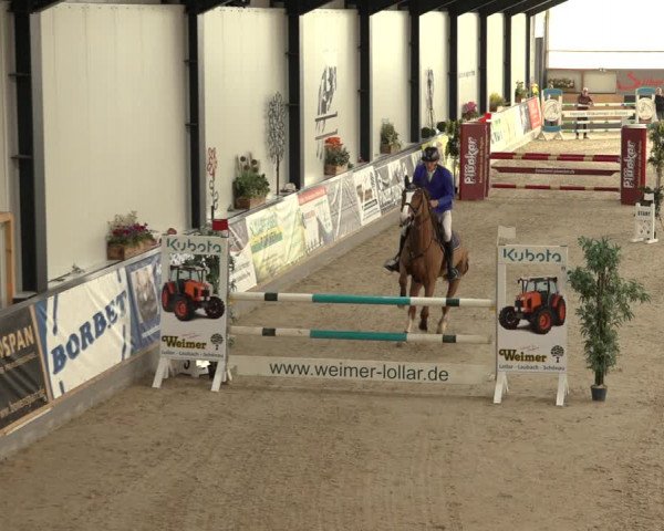 Reitturnier Borken 2022