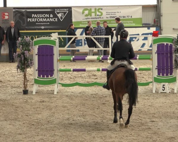 Reitturnier Borken 2022