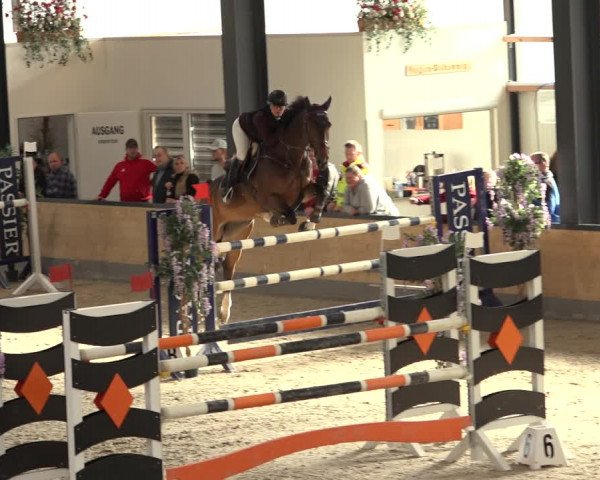 Reitturnier Borken 2022