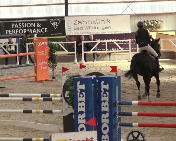 Reitturnier Borken 2022