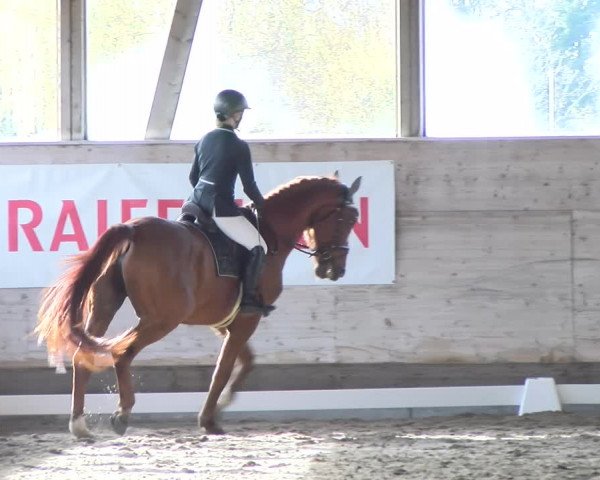 Reitturnier Urtenen-Schönbühl 2022