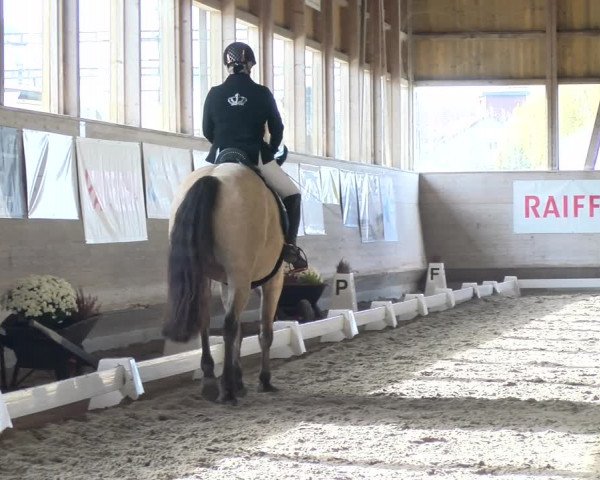 Reitturnier Urtenen-Schönbühl 2022
