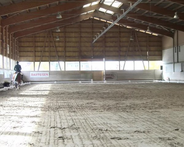 Reitturnier Urtenen-Schönbühl 2022