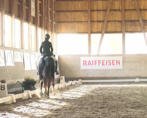 Reitturnier Urtenen-Schönbühl 2022