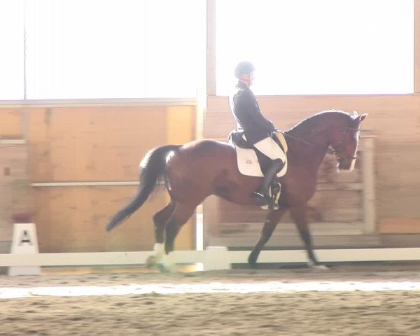Reitturnier Urtenen-Schönbühl 2022