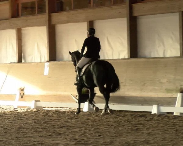 Reitturnier Urtenen-Schönbühl 2022