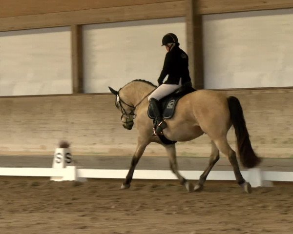 Reitturnier Urtenen-Schönbühl 2022