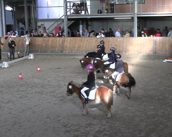 Reitturnier Freudenberg 2022