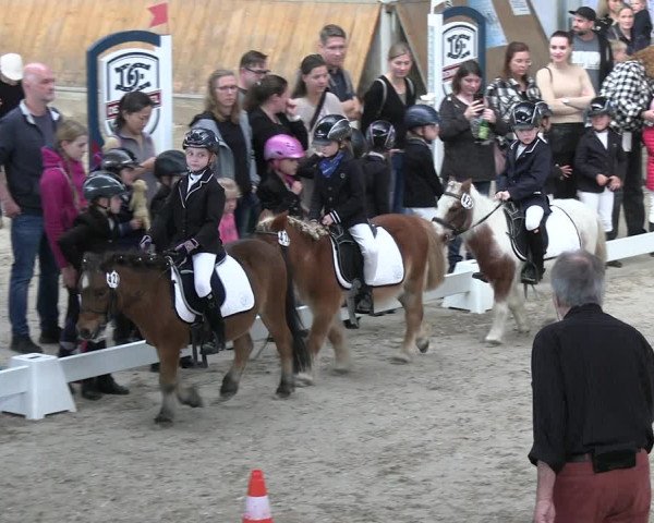 Reitturnier Freudenberg 2022