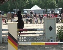 jumper Nightlady (German Riding Pony, 2006, from Notre Beau)