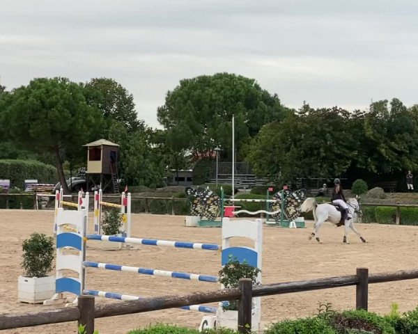 Video of Dd Caesar