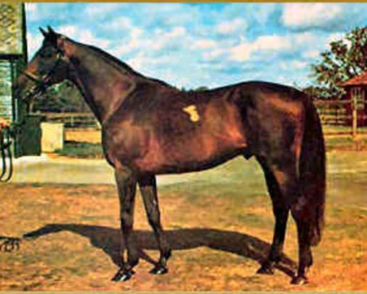 Deckhengst Reliance xx (Englisches Vollblut, 1962, von Tantième xx)