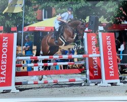 jumper Stakkatos Lady (Hanoverian, 2016, from Stakkato Gold)