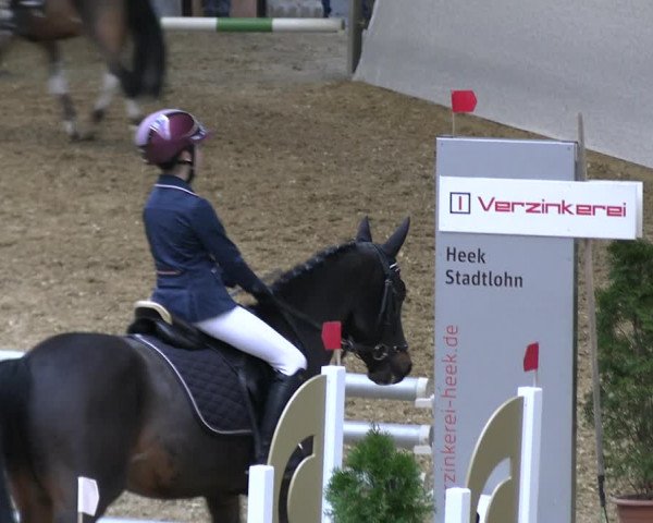 Legdener Ponymeeting 2022