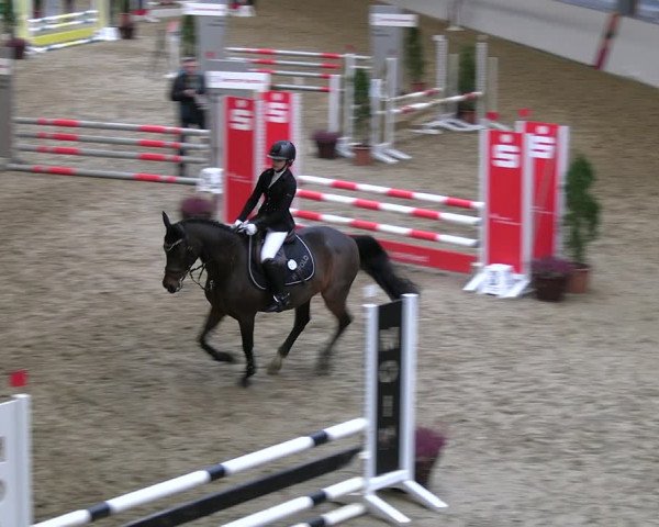 Legdener Ponymeeting 2022