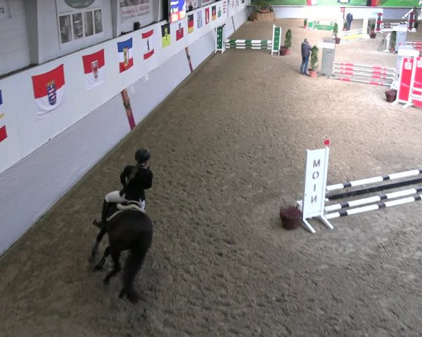 Legdener Ponymeeting 2022