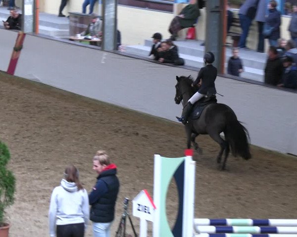 Legdener Ponymeeting 2022