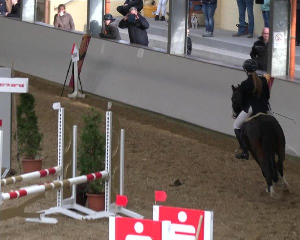 Legdener Ponymeeting 2022