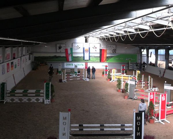 Legdener Ponymeeting 2022