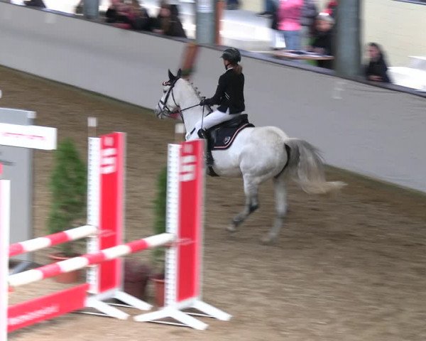 Legdener Ponymeeting 2022