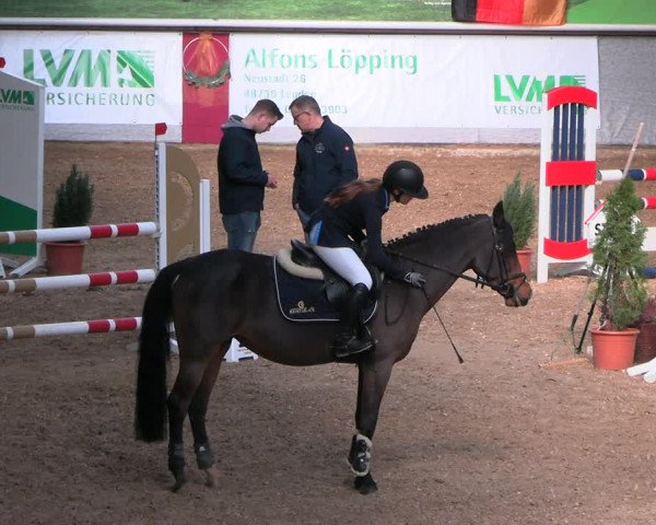 Legdener Ponymeeting 2022