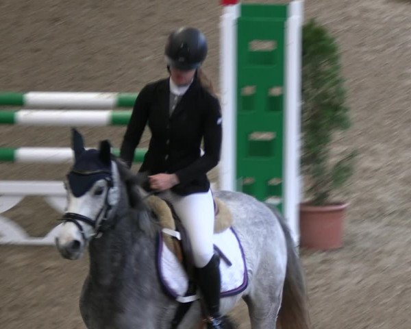 Legdener Ponymeeting 2022