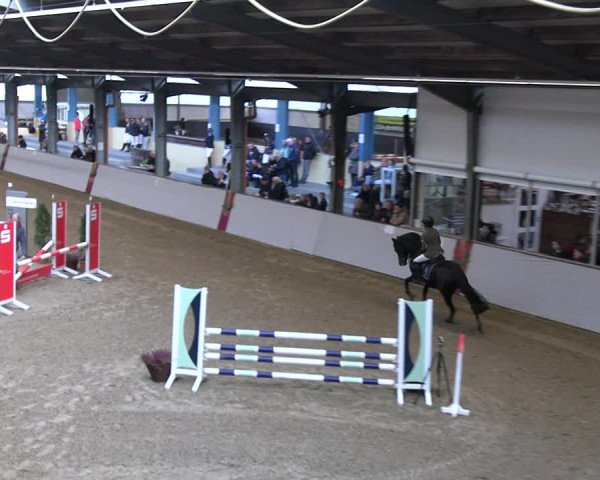 Legdener Ponymeeting 2022