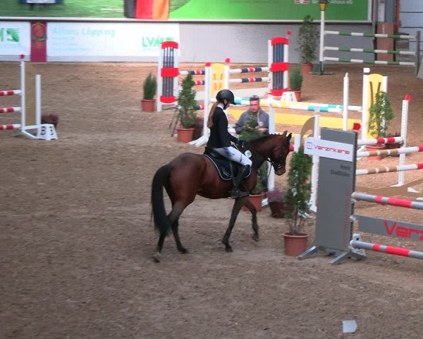 Legdener Ponymeeting 2022