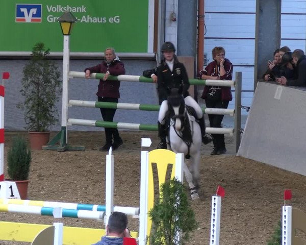 Legdener Ponymeeting 2022