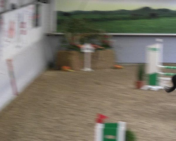 Legdener Ponymeeting 2022