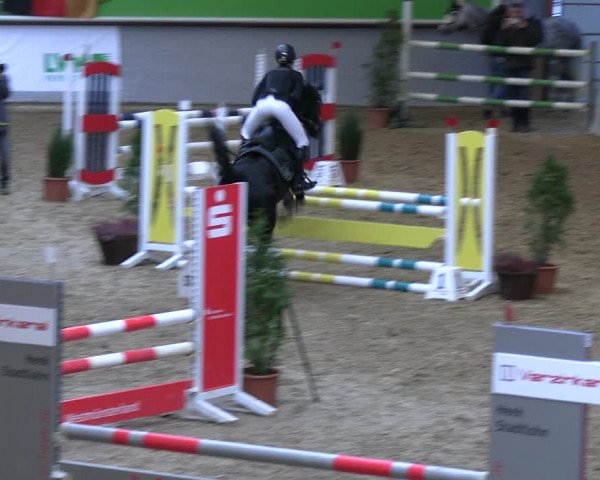 Legdener Ponymeeting 2022
