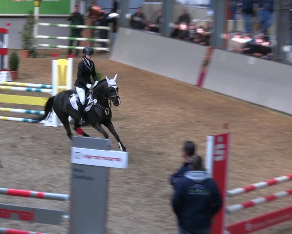Legdener Ponymeeting 2022