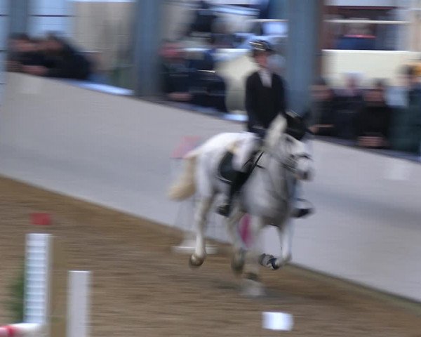 Legdener Ponymeeting 2022