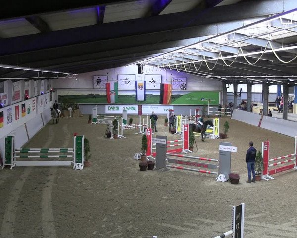 Legdener Ponymeeting 2022