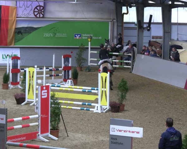 Legdener Ponymeeting 2022