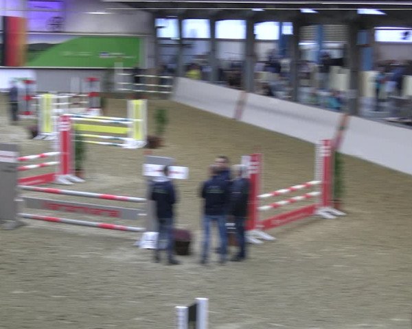 Legdener Ponymeeting 2022