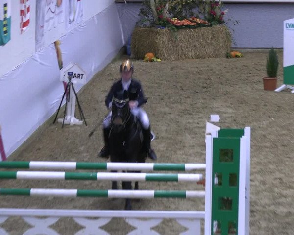 Legdener Ponymeeting 2022
