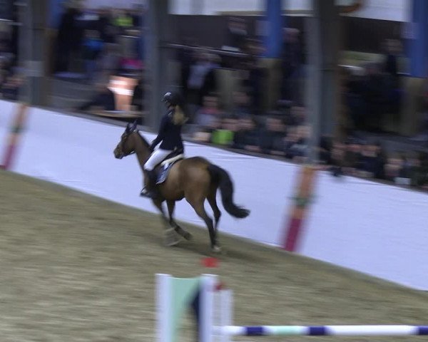 Legdener Ponymeeting 2022